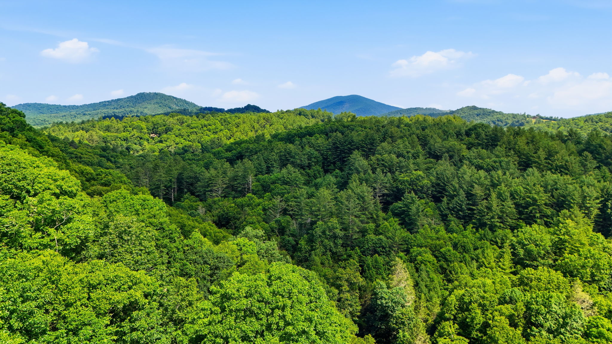 DJI_20260701231350_0704_D