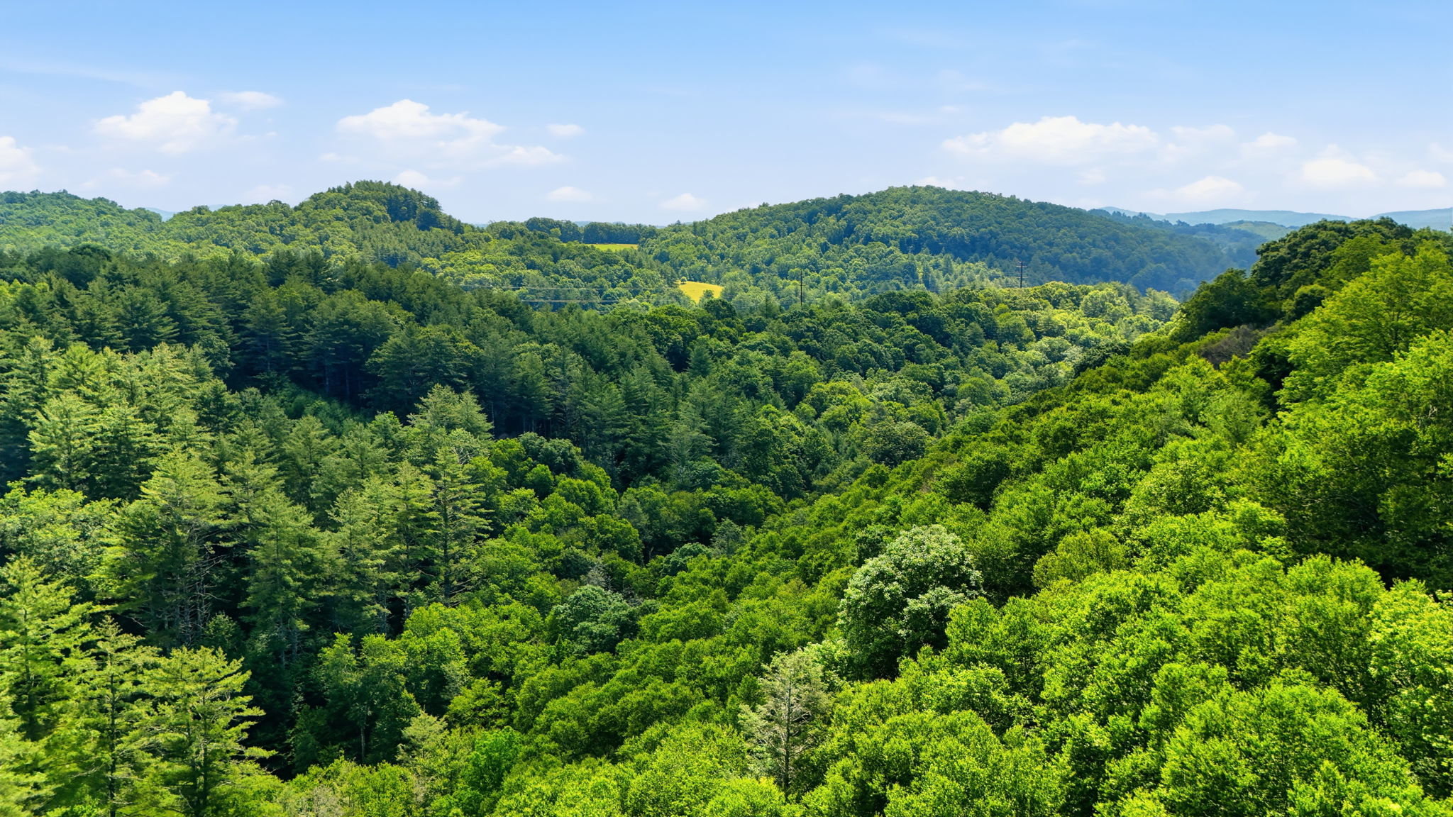 DJI_20260701231603_0719_D