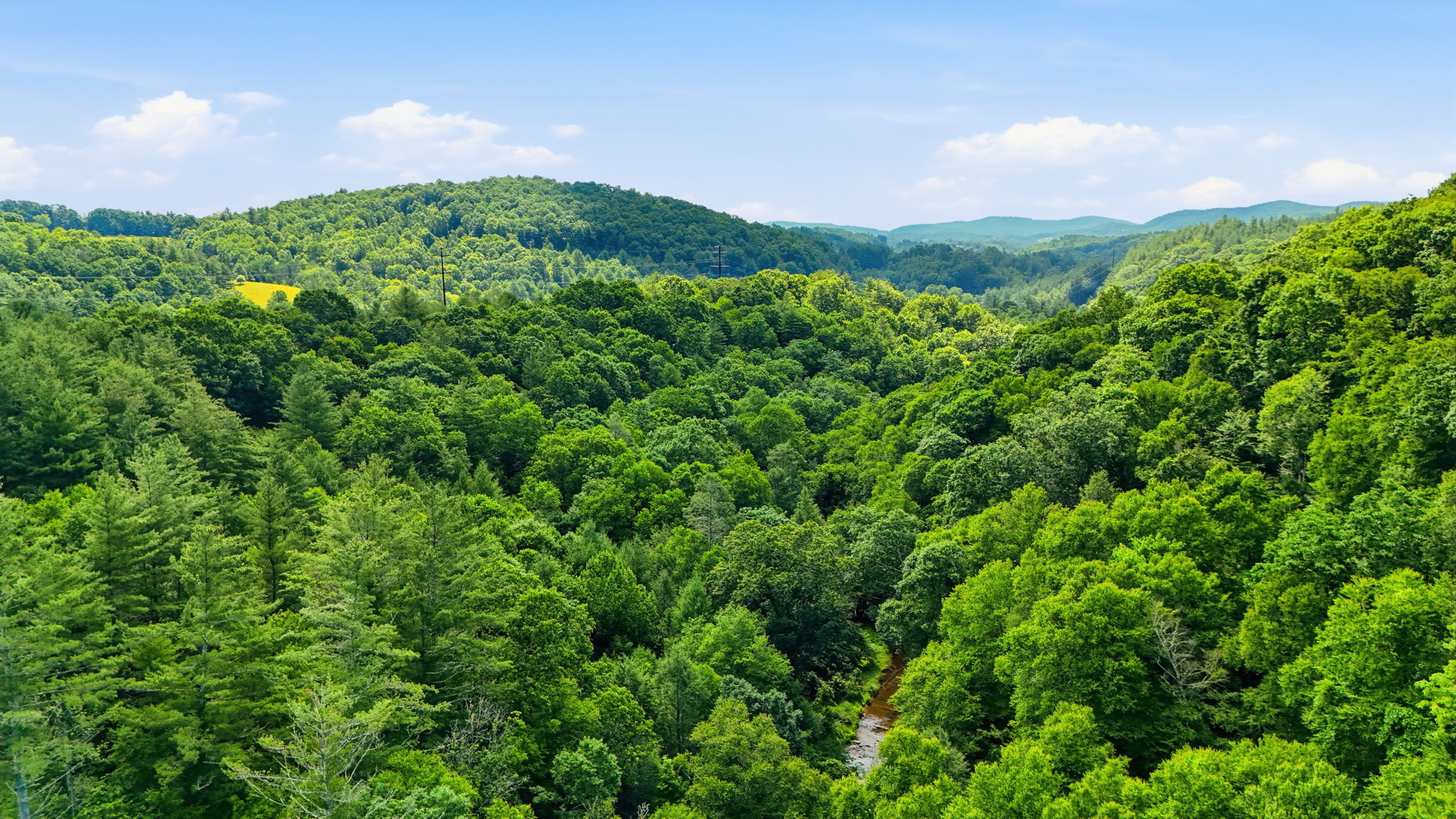 DJI_20260701231653_0725_D
