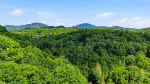 DJI_20260701231350_0704_D
