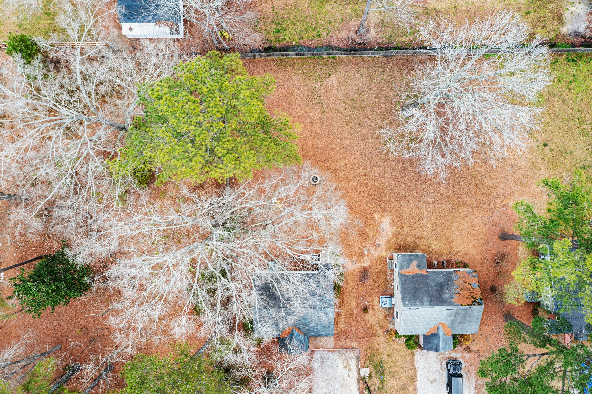 211 Mae Byrd Rd, Lillington, NC 27546, USA Photo 12