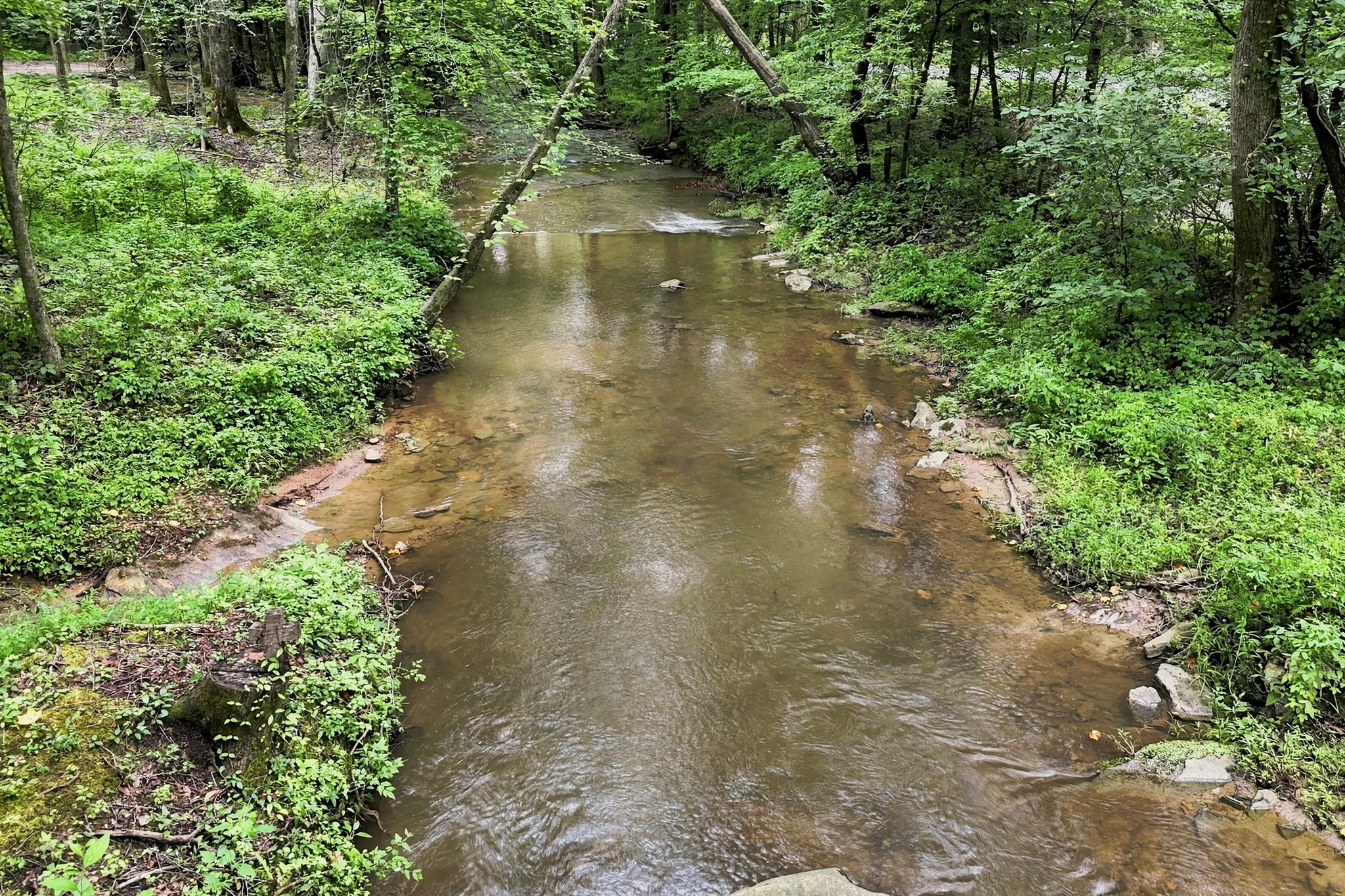  Photo 45