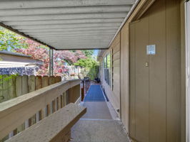  Photo 36