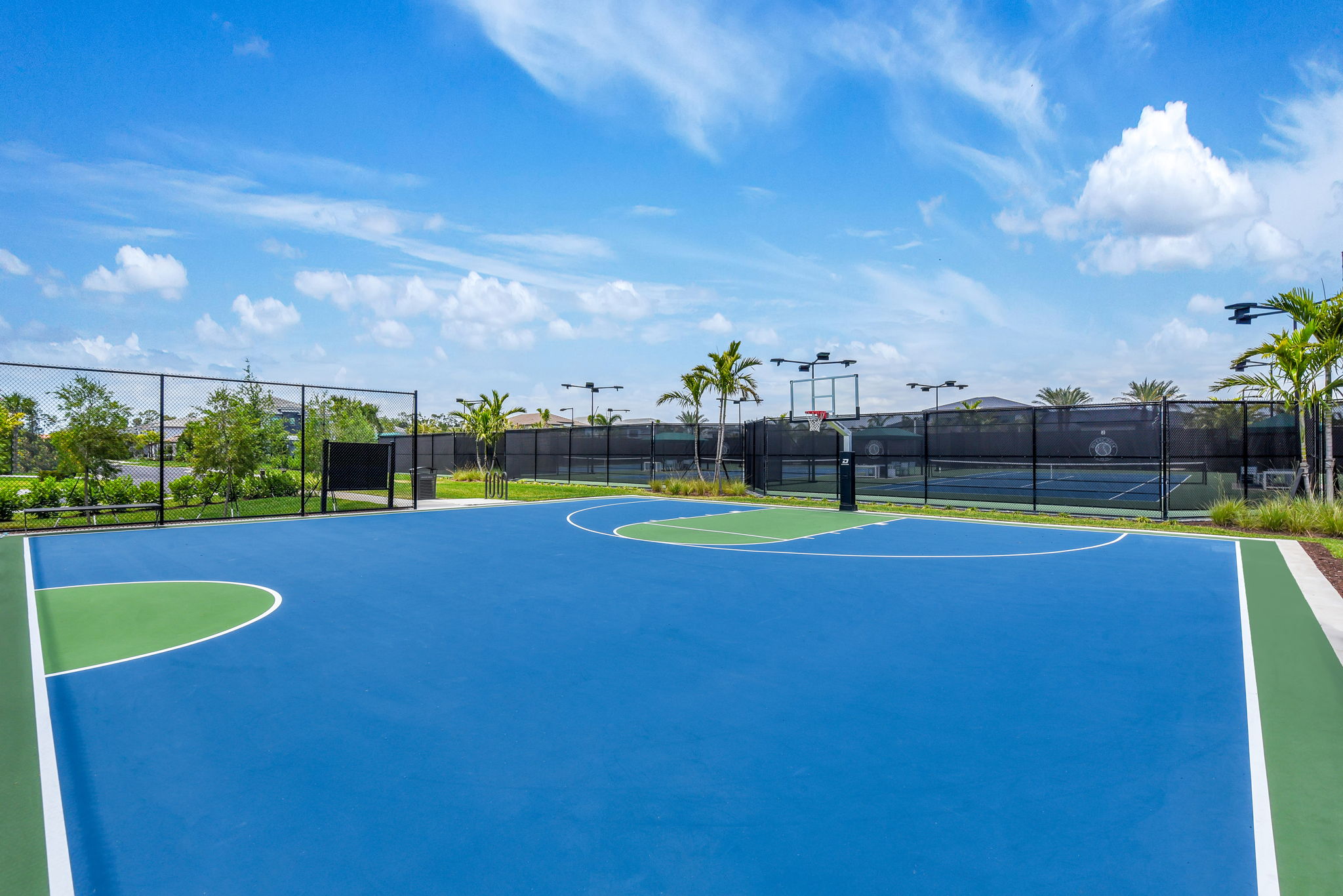 Basketball Court