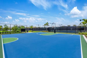 Basketball Court