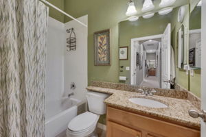 Guest Bathroom 1