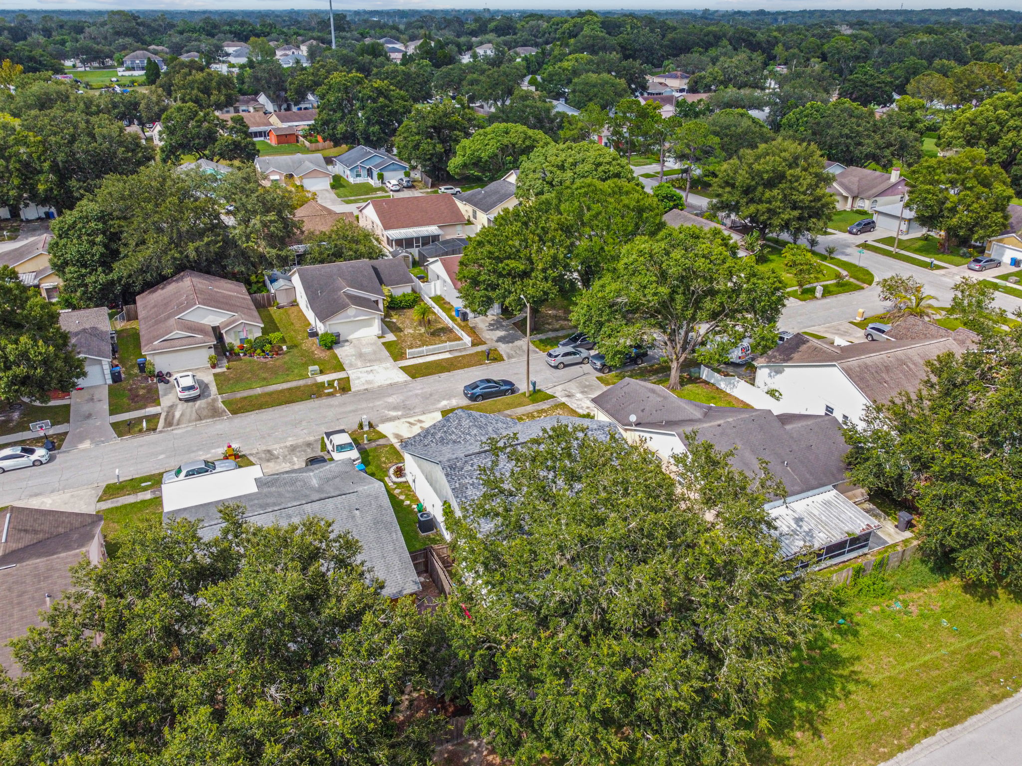 DJI_0124