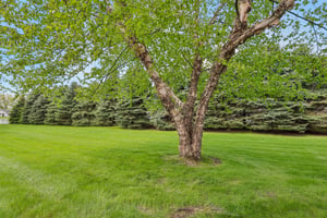 Lakefield Dr-S0805-027.jpg