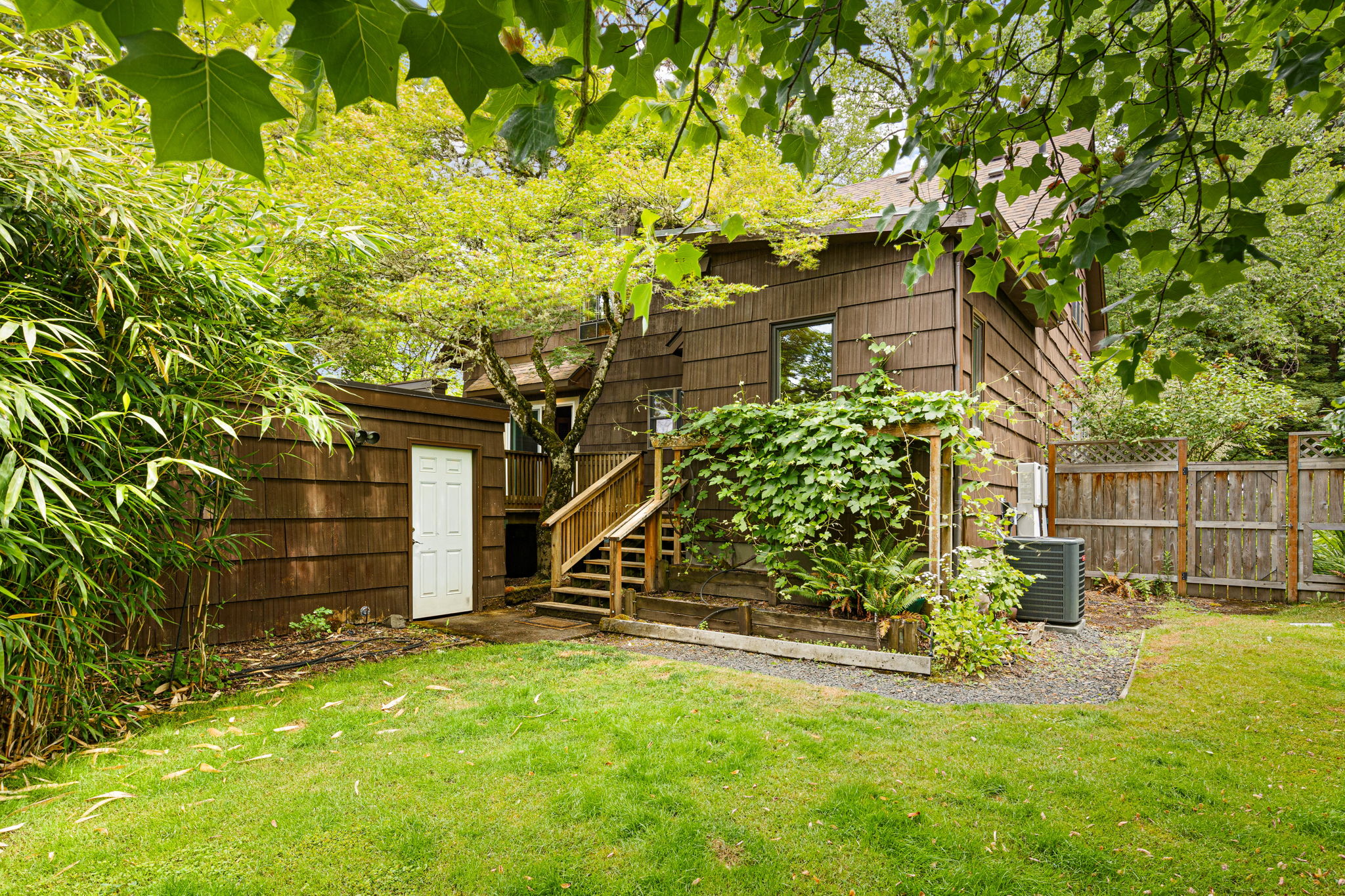 Back Yard