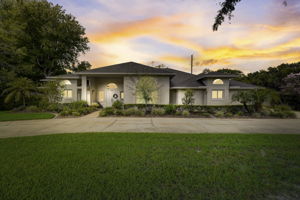 Blue Iris Pl - VT-001