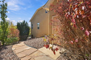 DSC_3105