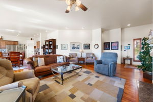 Living Room (2)