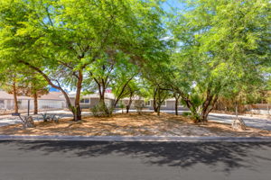 Front Yard