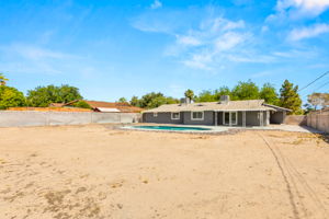 Big Back Yard