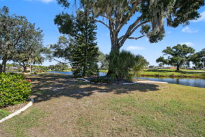Backyard2
