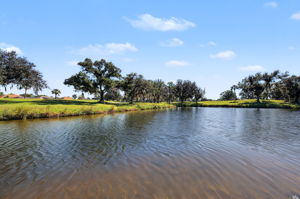 Water View1