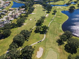 Aerial (13)