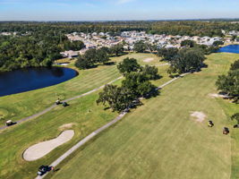 Aerial (17)