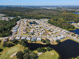 Aerial (19)