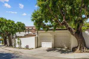 2115 Castilian-1