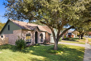 Large mature shade tree and manicured lawn