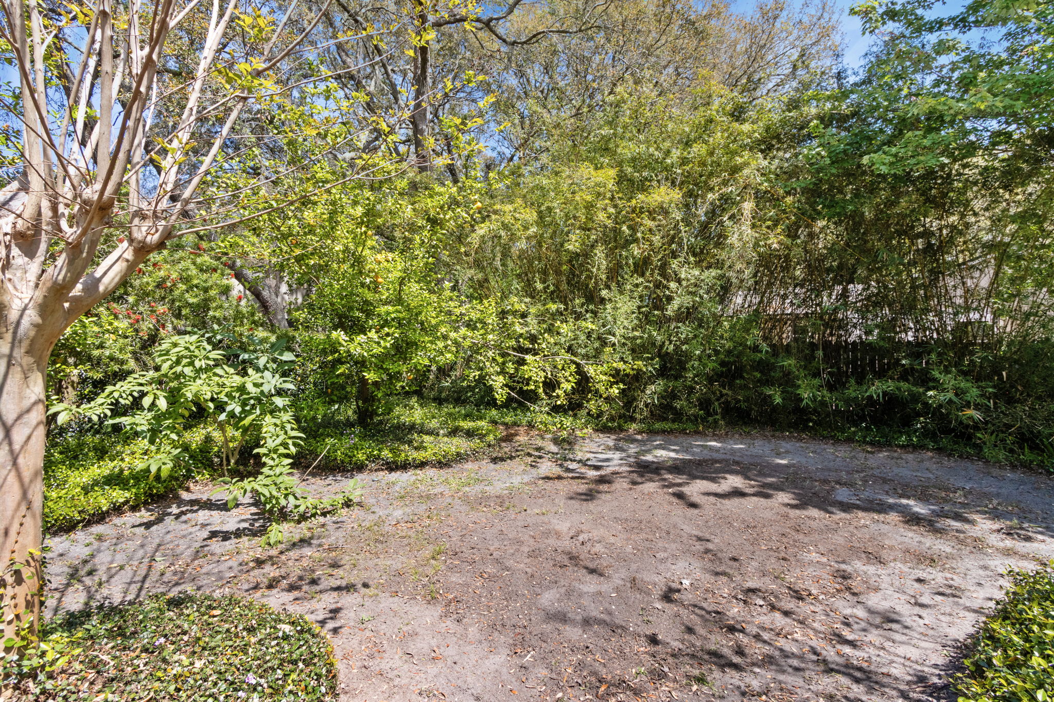 Backyard