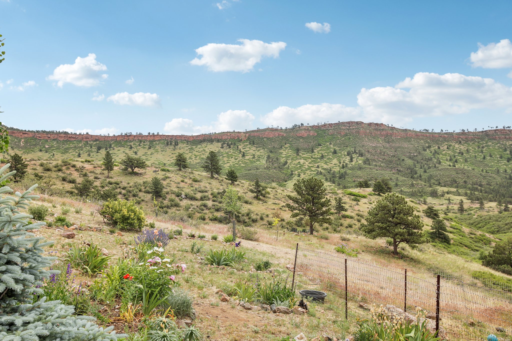 Dry Creek Dr-055.jpg