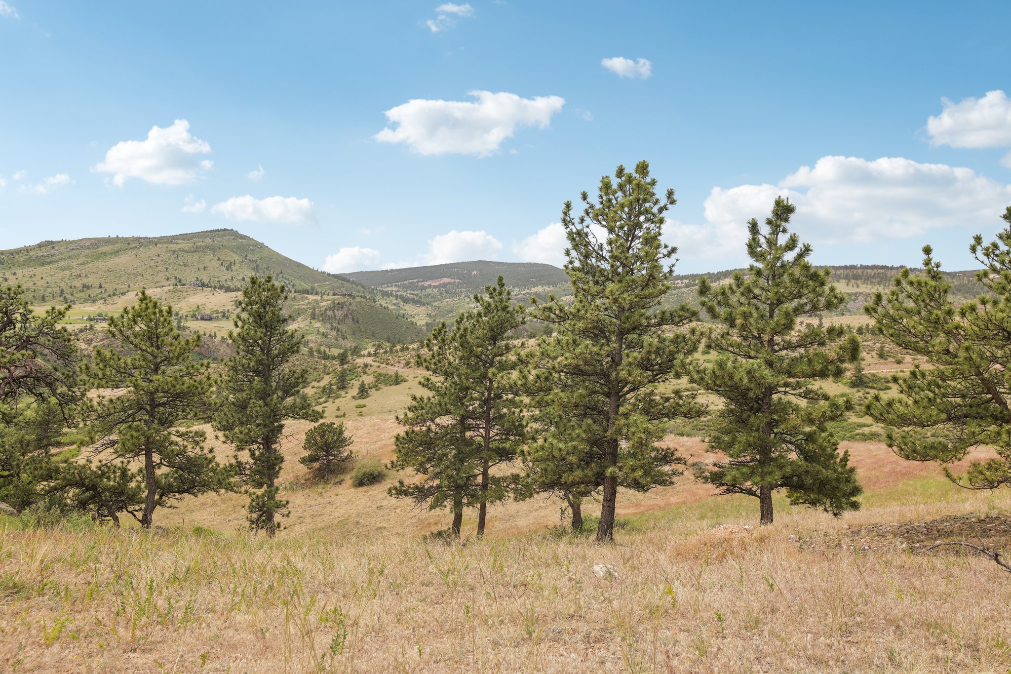 Dry Creek Dr-062.jpg