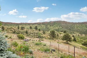 Dry Creek Dr-055.jpg