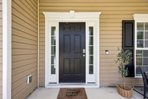 Front Entry Detail