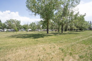  Photo 49