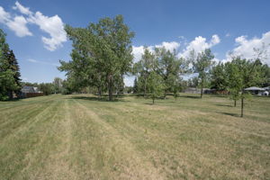  Photo 51