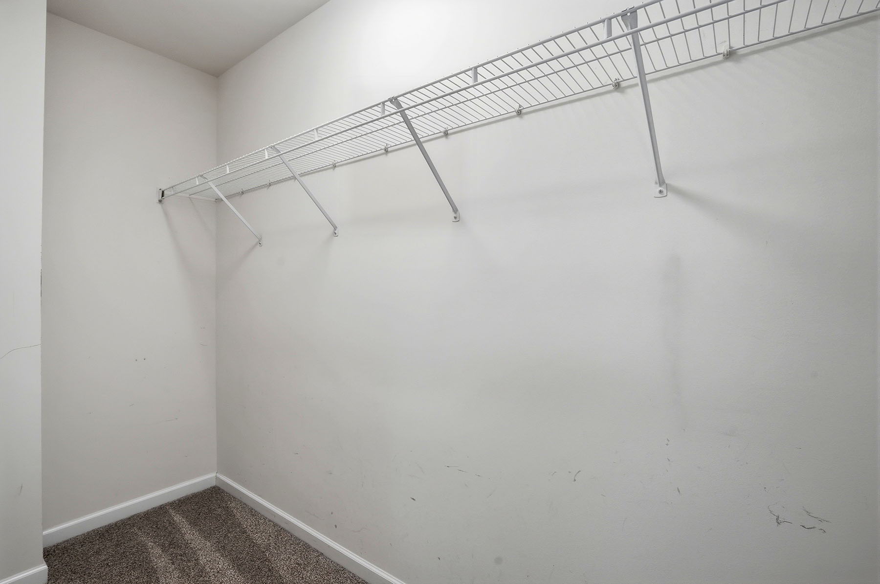 Primary Bedroom Closet