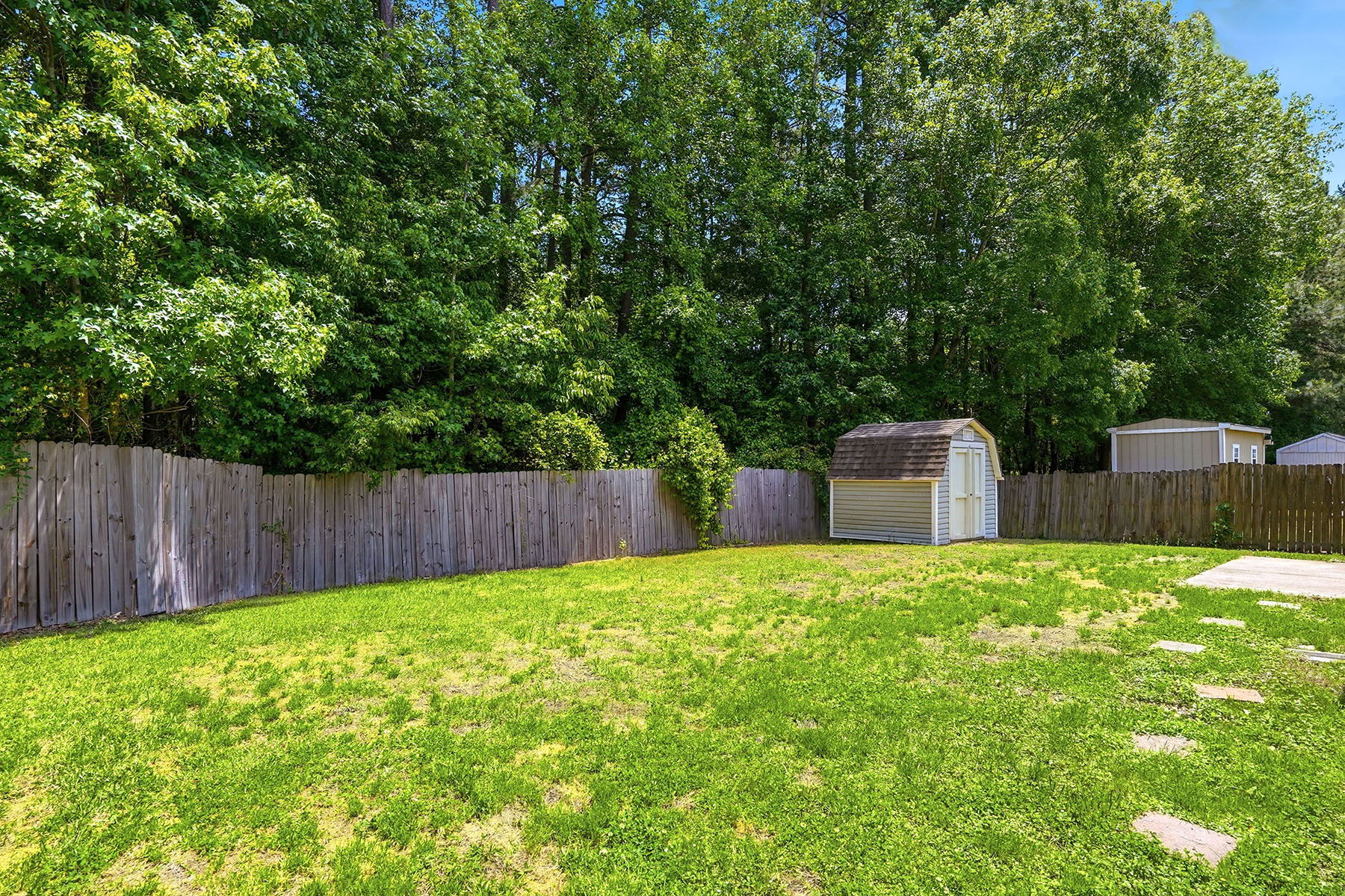 Back Yard