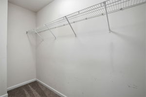Primary Bedroom Closet