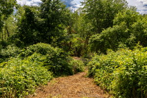  Photo 34