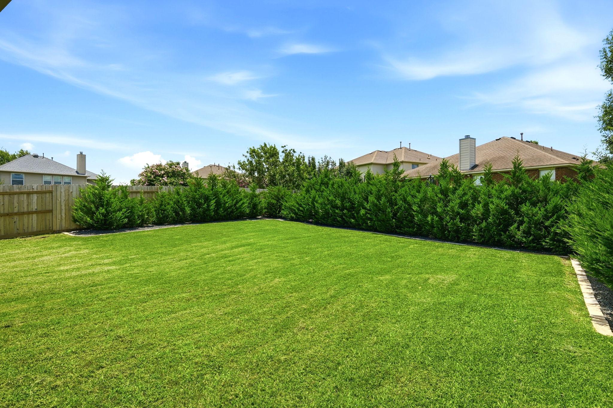 Back Yard