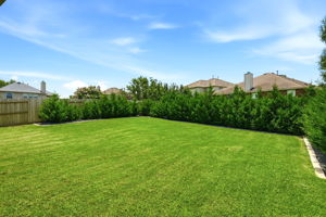 Back Yard