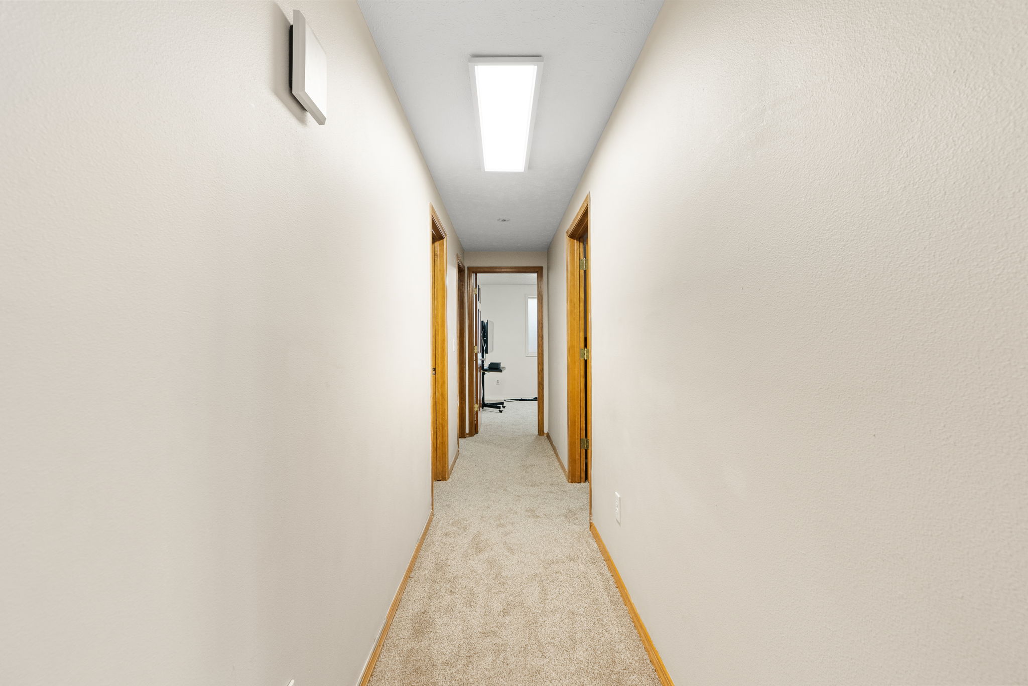  Photo 38