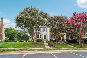 Hedgerow Ter-S2907-001.jpg