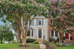 Hedgerow Ter-S2907-003.jpg