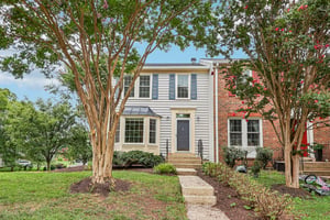 Hedgerow Ter-S2907-006.jpg