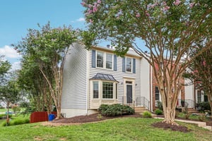 Hedgerow Ter-S2907-007.jpg