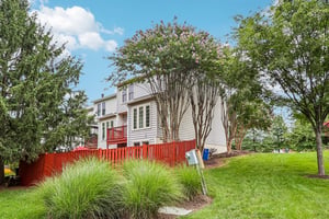 Hedgerow Ter-S2907-013.jpg