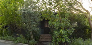  Photo 0