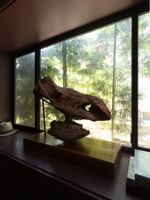  Photo 47