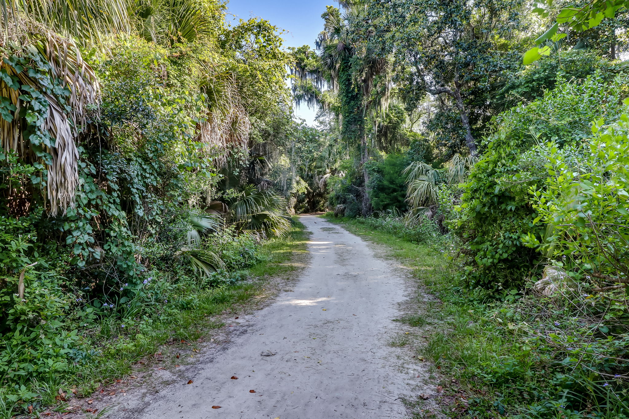 Egans Creek Greenway