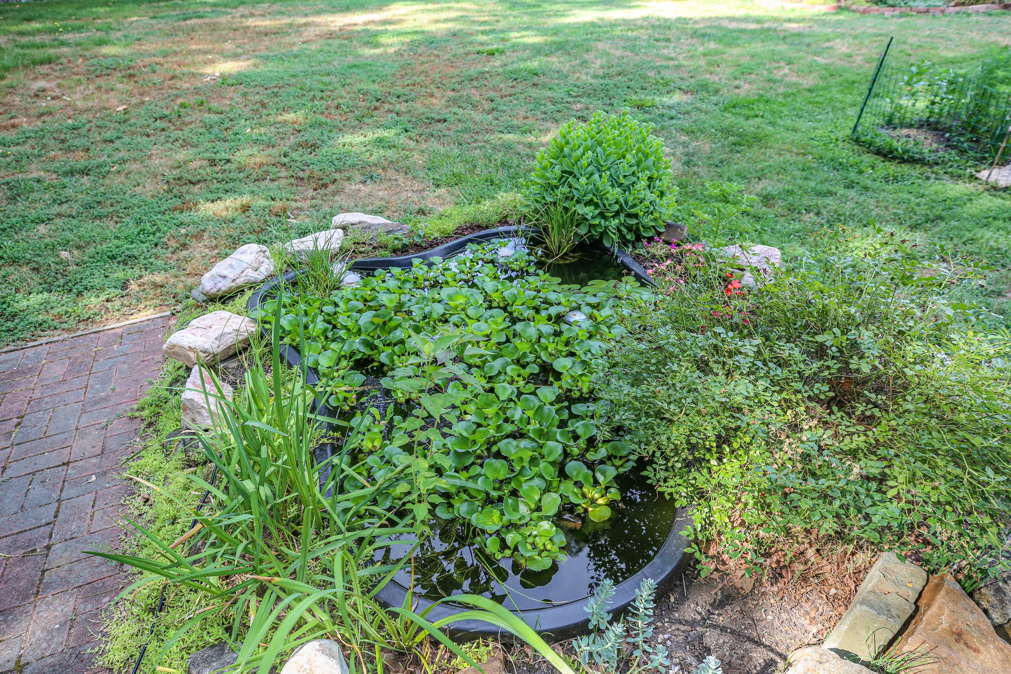  Photo 37