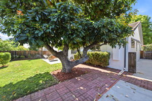 040_F8_2123 Leon Dr