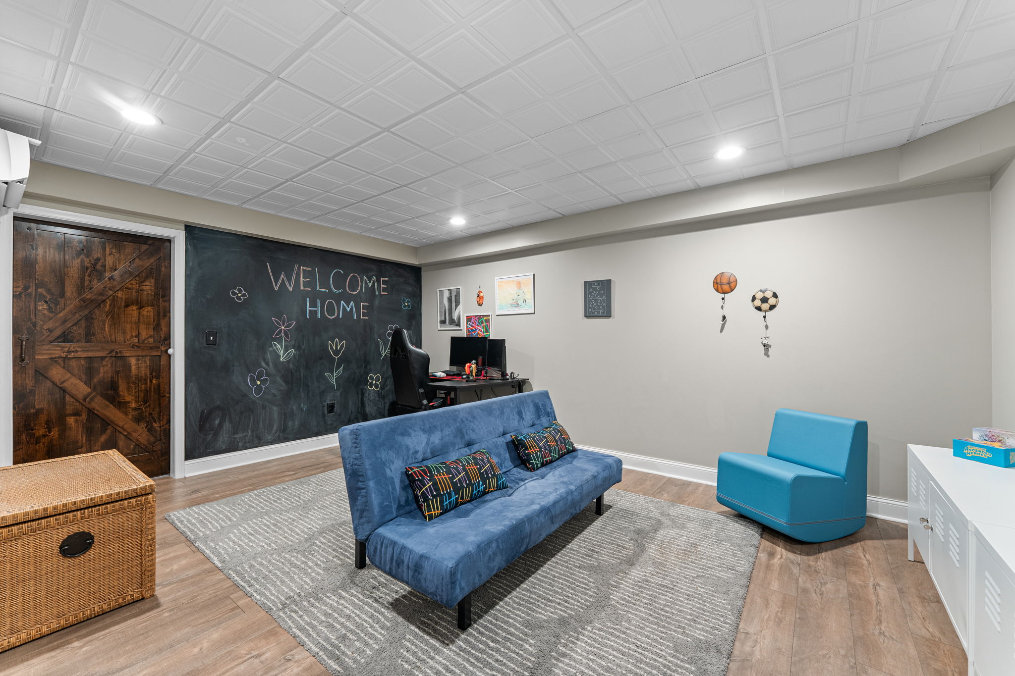Gaming Room in Basement